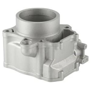 OEM Aluminum Die Casting Cylinder