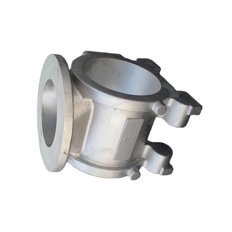 Densen Customized Stainless Steel Water Pump Housing, Steel Water Pump Housing