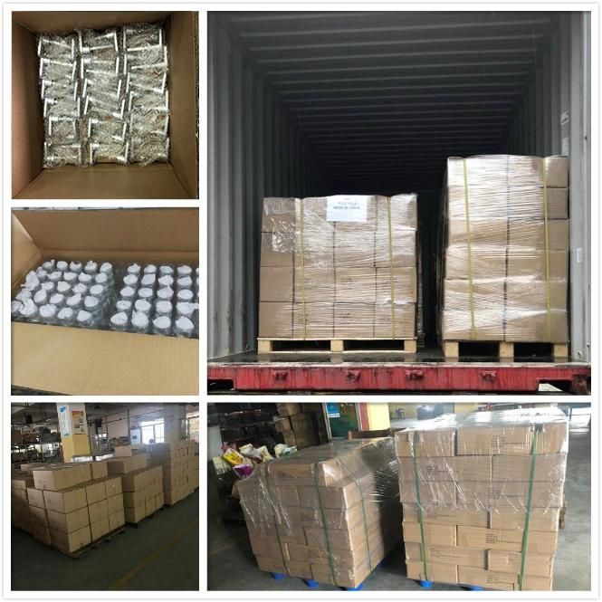 OEM Zinc Die Casting Zinc Alloy Casting Lock Parts