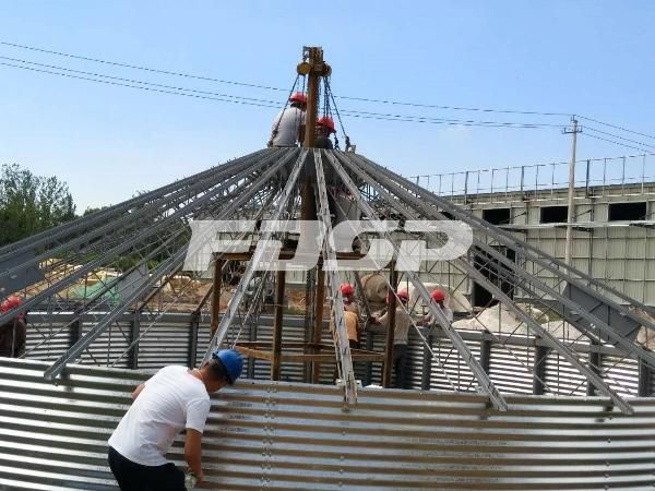 Cheap Price Silo System Galvanized Steel Silo for Sale