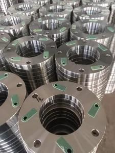 Forged Stainless Steel Flanges