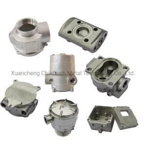 OEM Wcb/Stainless Steel/Alloy Steel Instrument Parts Fluid Equipment Fittings Flowmeter