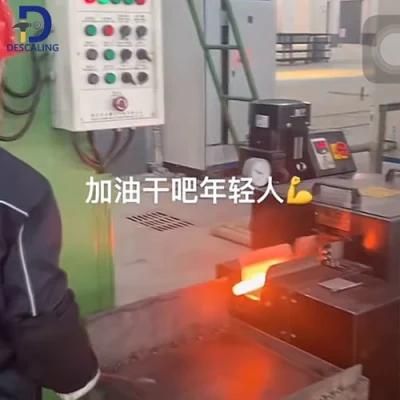 Forging Blank Machining Surface Treatment Descaling Machine