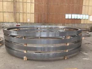 China Professional Supplier for Dn1000-6000mm Forged Steel Flanges