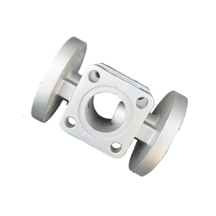Densen Customized Investment Castings Stainless Steel Plug Valve Parts