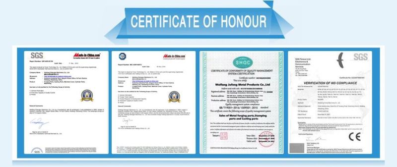Carbon Steel Sg Iron Castings Components / Cast & Forged / Minerals & Metallurgy Forging Parts with ISO Certification Forge