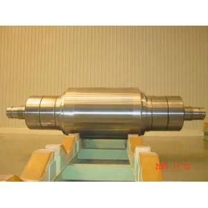 Skin Pass Mill Rolls/ Rolls for Rolling Mill