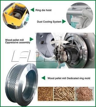High Output Pellet Die & Ring Die for Mill (For MUZL1210C)