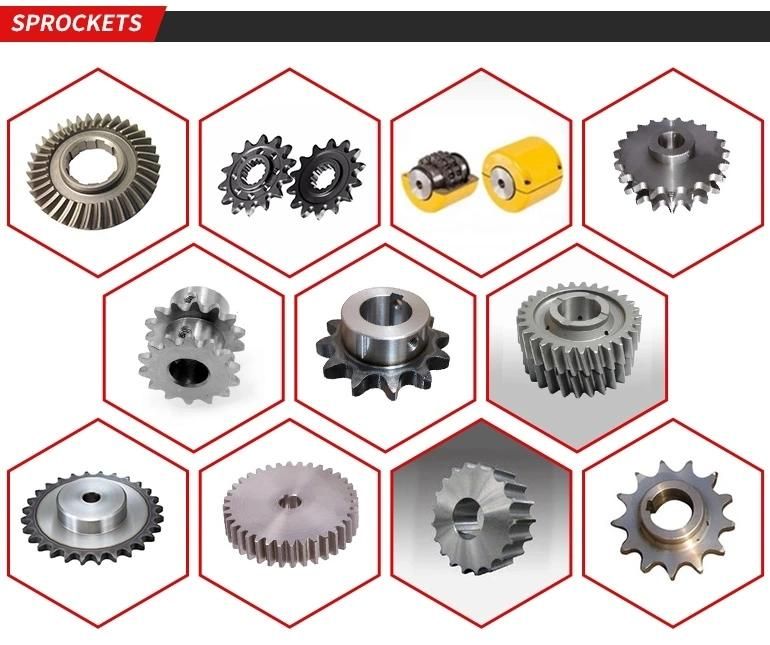 Factory Direct Sale Standard and Special 19t Steel Spur Gear