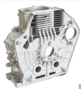 OEM Aluminum Die Casting Part for Pump Housing Use