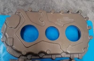 OEM Sand Casting, Iron Casting, Gear Box for Forklift Truck