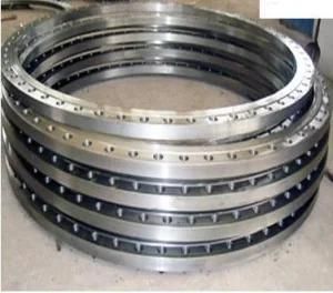 Customized Different Sizes High Quality Forging Flanges
