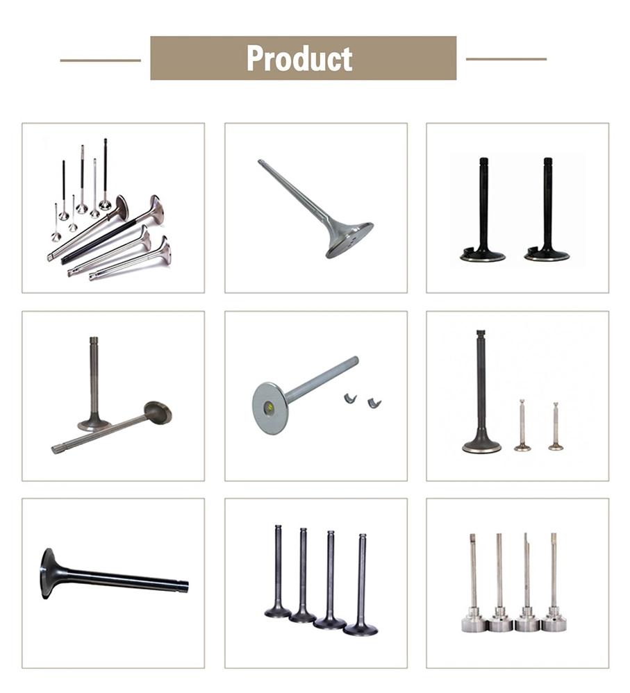 High Performance Component Valve and Exhaust Valve