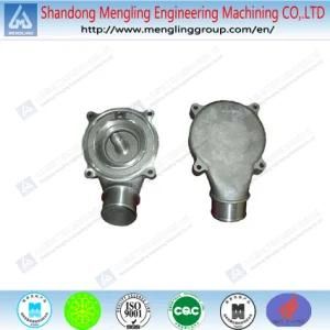 Cast Iron Auto Part Casting with CNC Machining