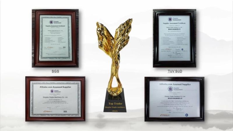 ISO9001 Steel Investment Casting Auto Parts with Painting for Automobile Parts