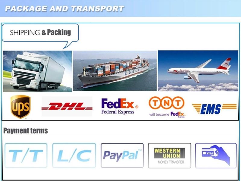Die Casting Processing Aluminum Customized Aluminum Die Casting Automobile Housing Parts Die Casting Auto Parts