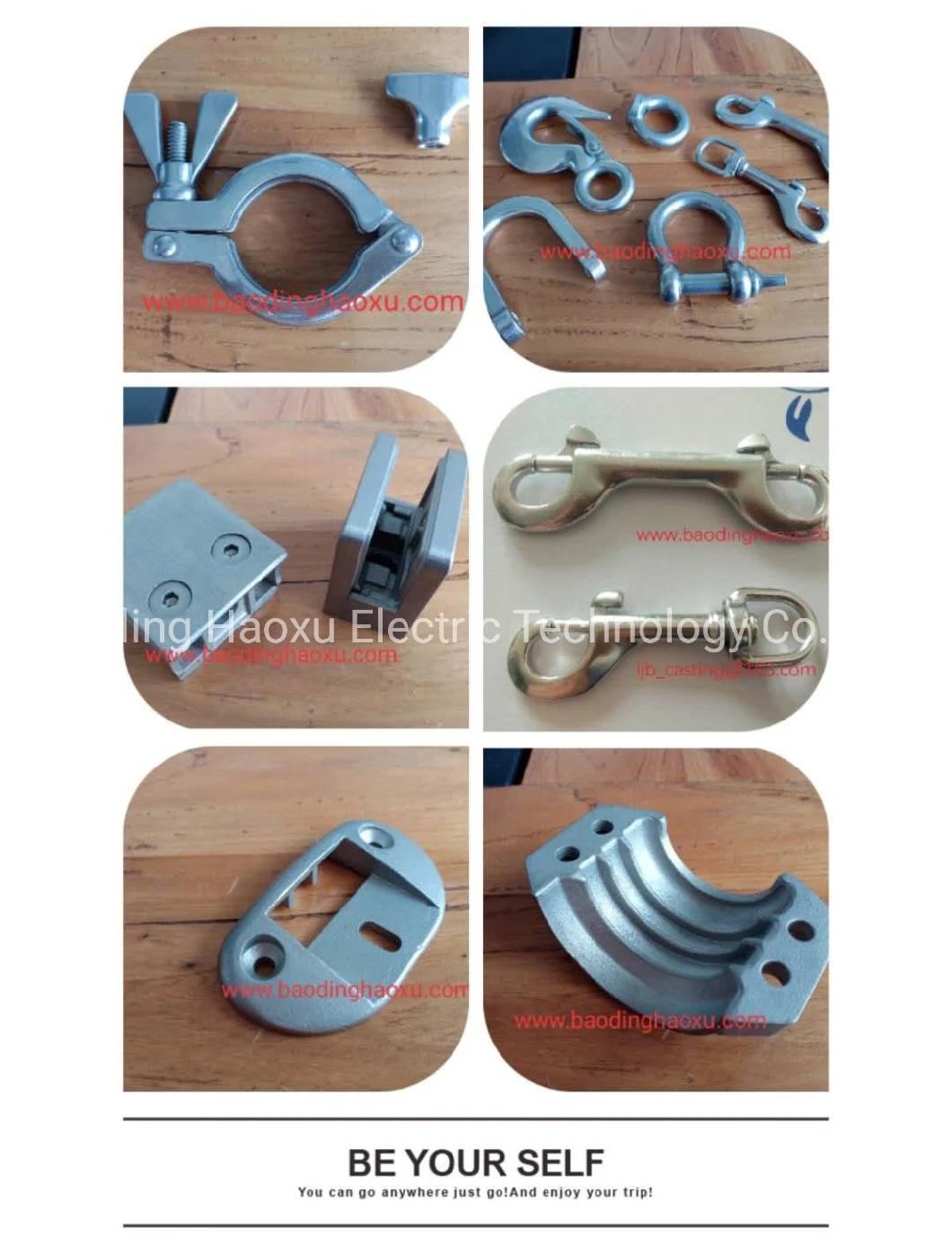 OEM Custom SS316 Hinge for Electrical Cabinet, Refrigerator and Yacht with Casting