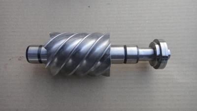 Stainless Steel Worm Gear Shaft with ISO 9001 Approved Worm Wheel Gear Shaft