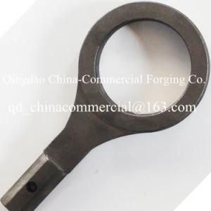 OEM Customized Alloy Steel Forging for Forging Steel Hardware