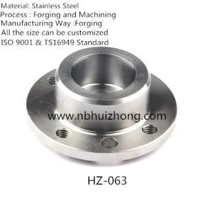 Auto Accessories with Stainless Steel (Hz-063)