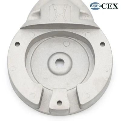 Custom OEM Advanced Squeeze Die Casting Auto Part