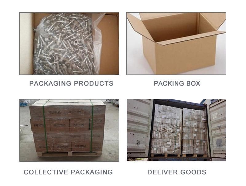 Precision Silicon Sol Casting Stainless Steel Pipe/Tube/Bathroom/Plumbing/Sanitary/Hardware Fittings