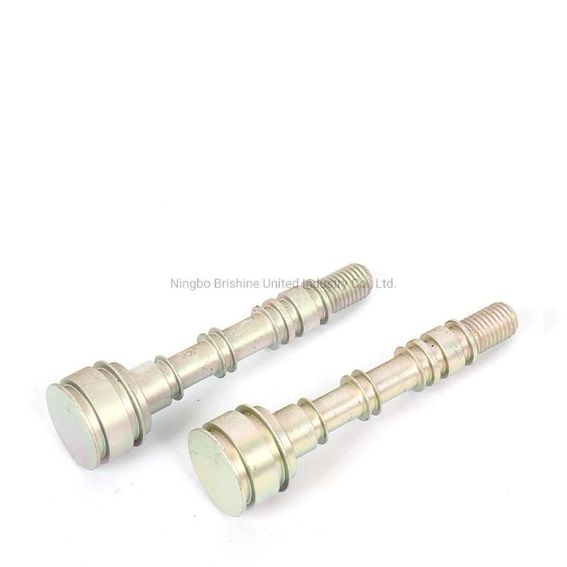 Customize Aluminum Anodizing Valve Rod/Valve Part