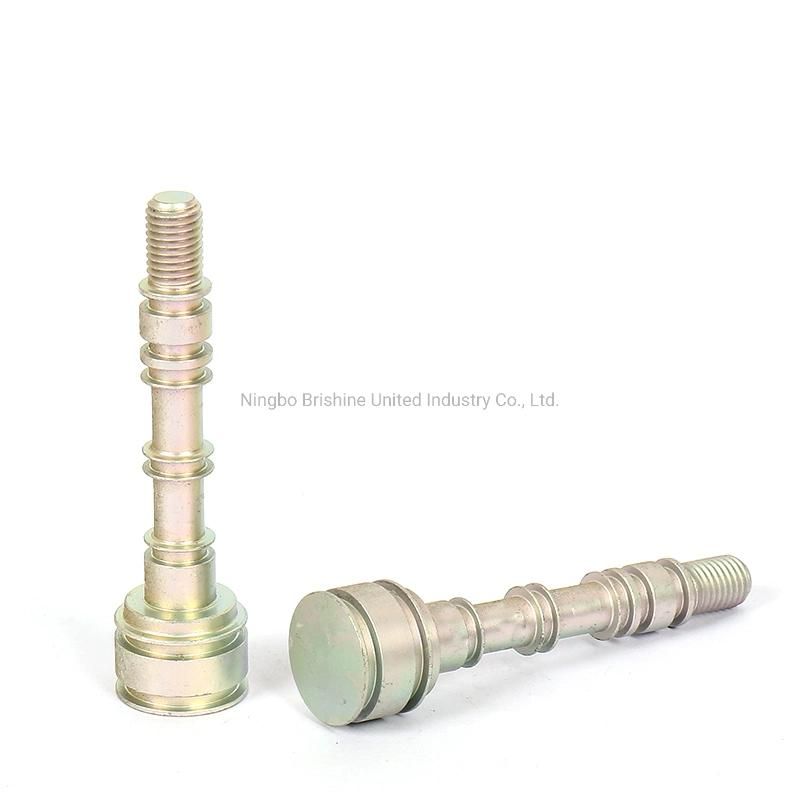 Customize Aluminum Anodizing Valve Rod/Valve Part