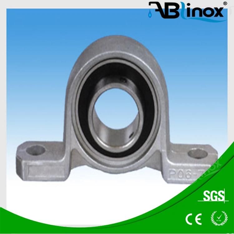 Custom SS304/316 Precision Investment Casting Cast Steel Bearing Housing