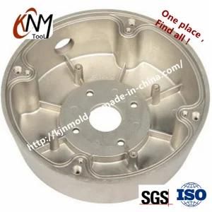 Professional Mold Manufacturer Hot Die Cast Mould Made in China