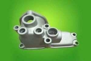 High Precision Aluminum Die Casting Auto Parts CNG Pressure Regulator