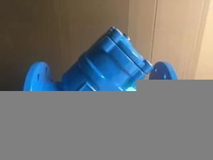 OEM Dn40 Ductile Iron Valve Body Casting with PE Coating