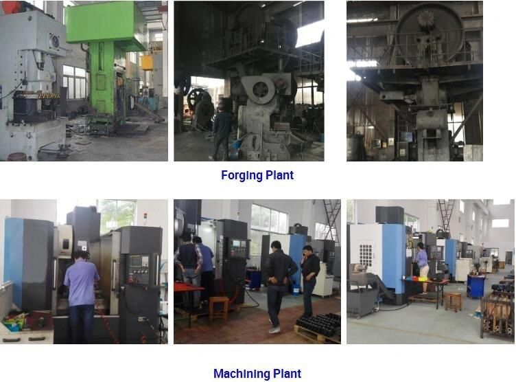 Customized Precisely Flange Carbon Steel Forging for Auto Parts