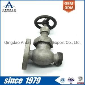 Hot Sale Competitive Factory Price Ductile Iron Casting for Pump