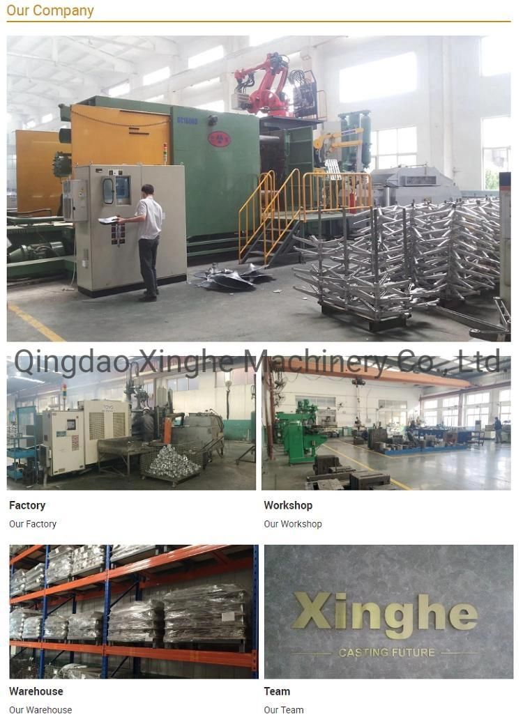 OEM Alumium Steel Alloy Die Casting Machinery Parts with Polishing