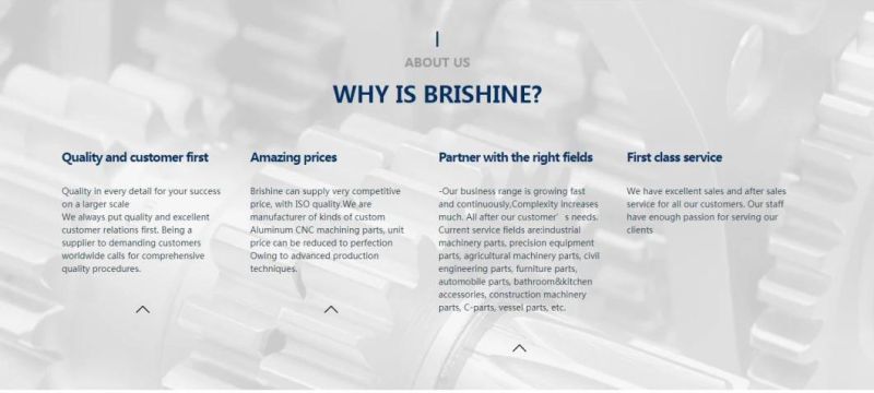 Customized Machine Stainless Steel Spare Parts for Packaging Machinery From Brishine-United