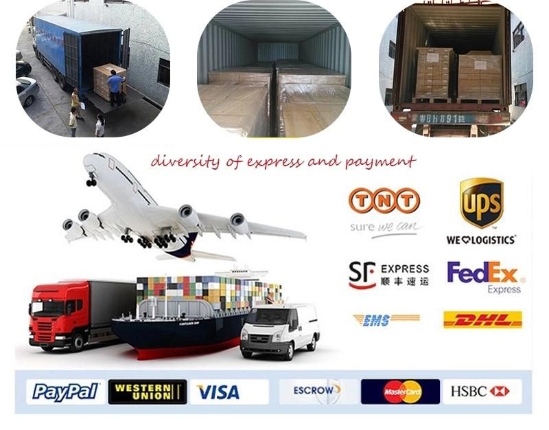 Top Quality Custom Aluminum Die Casting Parts for New Energy Truck/ Automobile