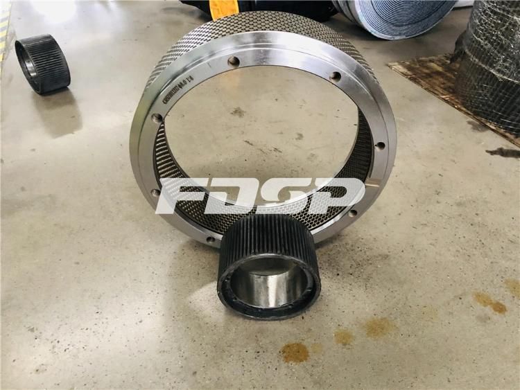 Pellet Die & Ring Die for Pellet Mill