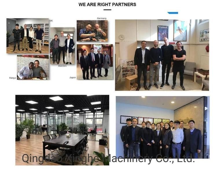 OEM Alloy Die Casting for Machinery Accessories with Polishing