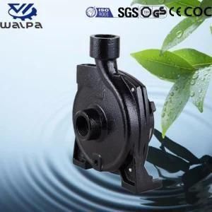 Pump Body of Water Pump with Italy Quality