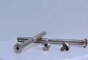 Stainless Steel Forging and CNC Machining Hinge Pins and Screws