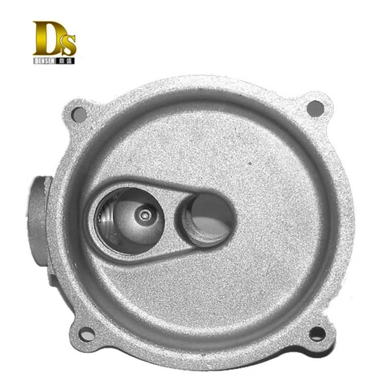 Densen Customized High Quality Aluminum Alloy Die Casting Parts