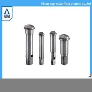 China Sand Casting Engine Block Valve Acessory Parts Stem