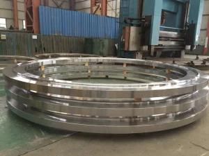 Customized Big Sizes High Quality Forged Flanges