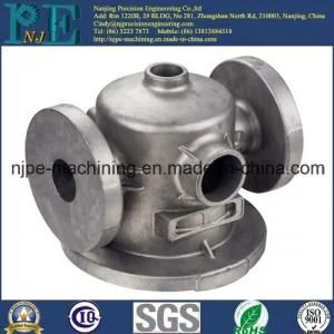 China Manufacturer and Supplier Zinc Plating Metal Casting Machine Housing