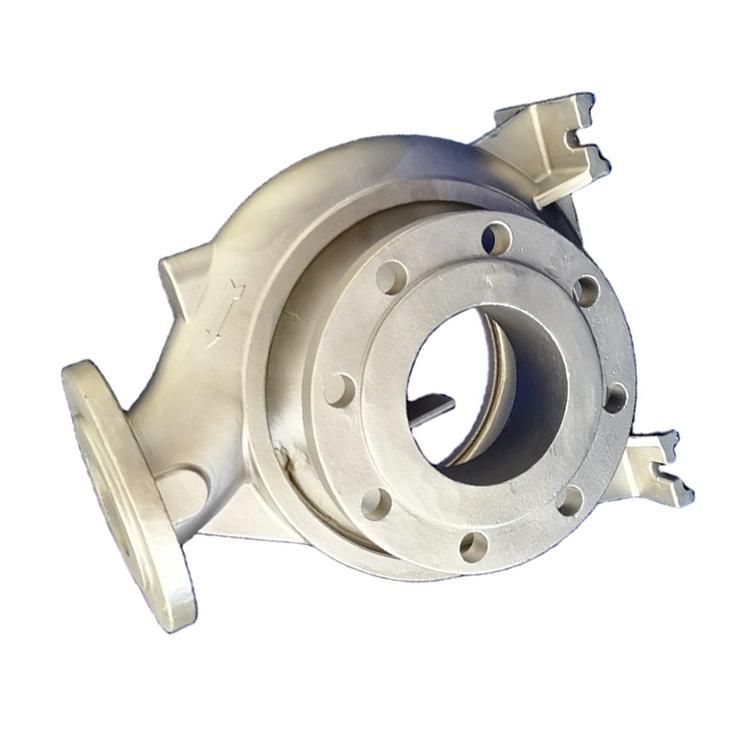 Densen Customized OEM Steel Pump Parts Cast Casing Cover Ring