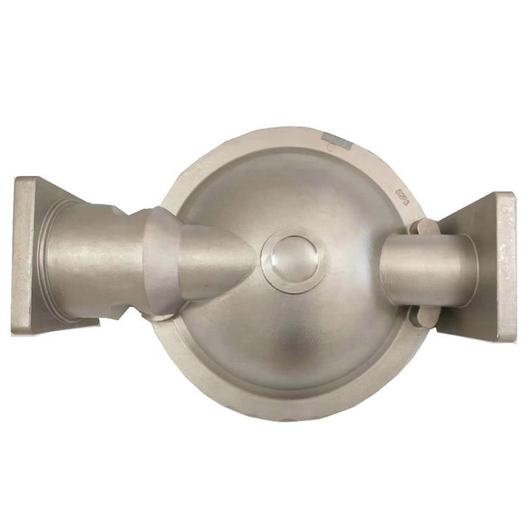 Densen Customized Investment Casting Stainless Steel Casting Diaphragm Pump Spare Parts