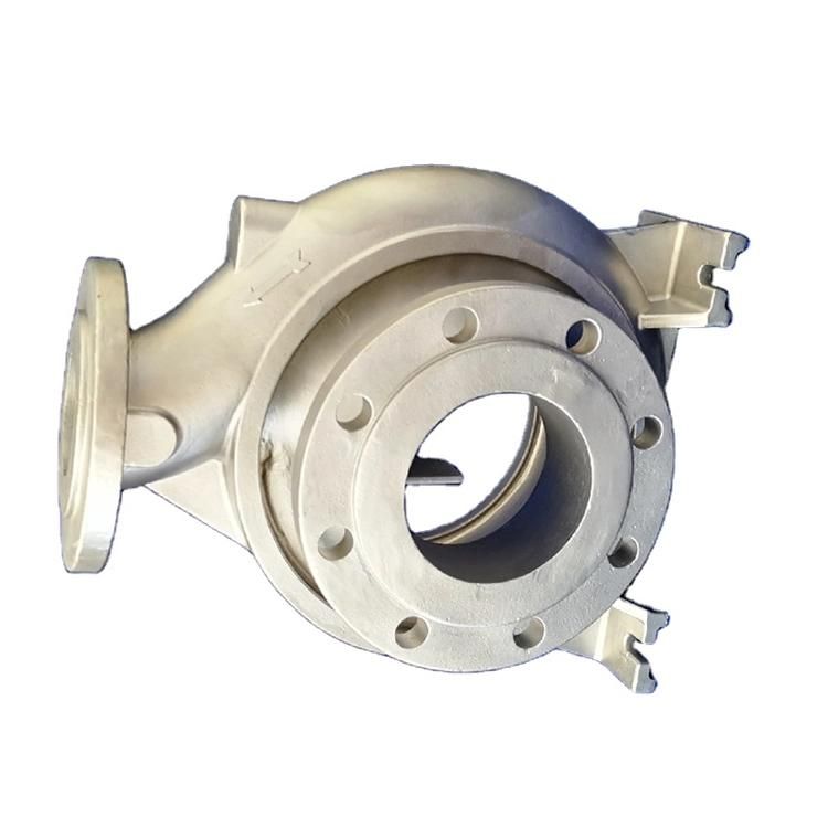 Densen Customized OEM Steel Pump Parts Cast Casing Cover Ring