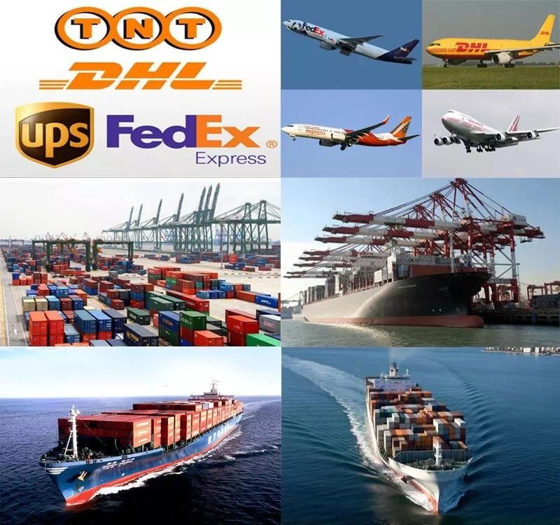 Low Price 5086/6063 Aluminum Pipe/Tube Cap for Ship