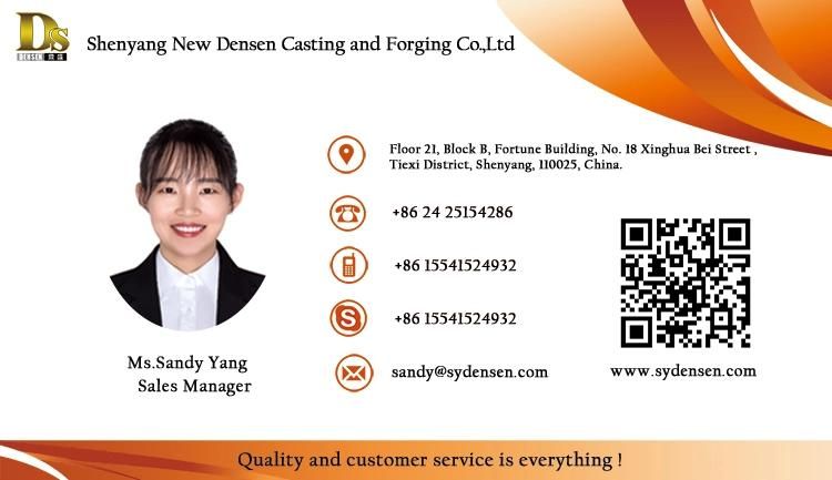 Densen Customized Polishing Investment Casting Stainless Steel Parts for Sterilize, Precision Casting Sterilizer Parts